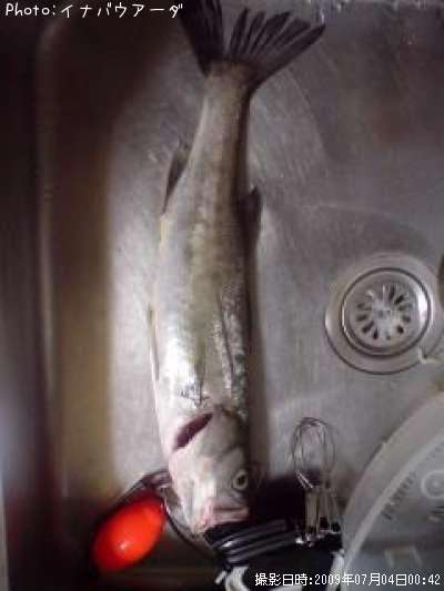 �����Х�