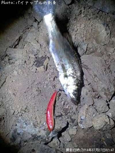 �����Х�