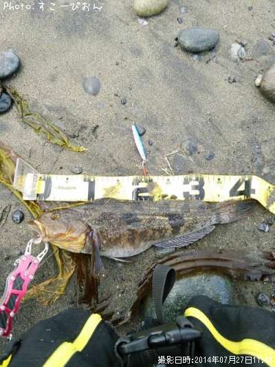 �����ʥ�