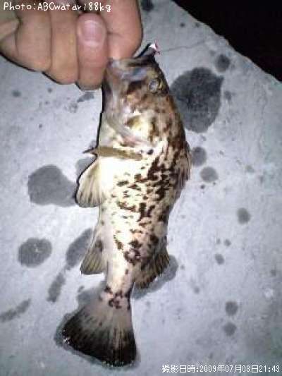 �����Υ���Х�