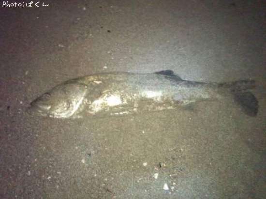 �����Х�