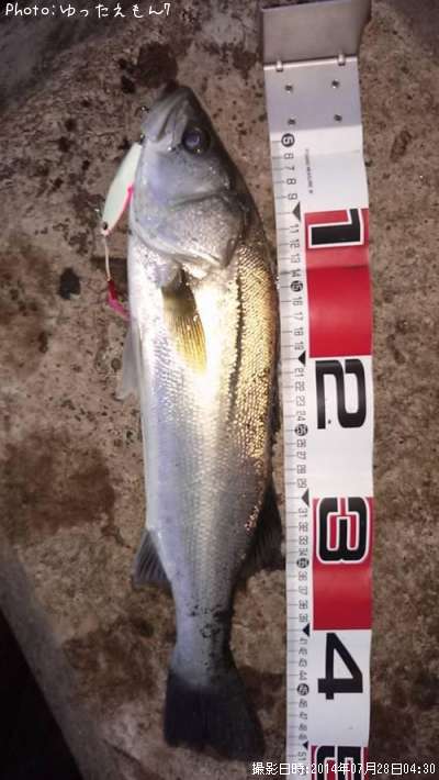 �����Х�