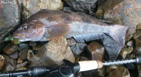 �����ʥ�