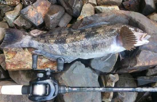 �����ʥ�