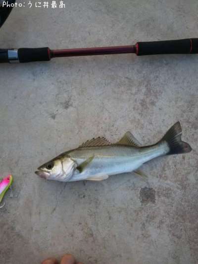 �����Х�