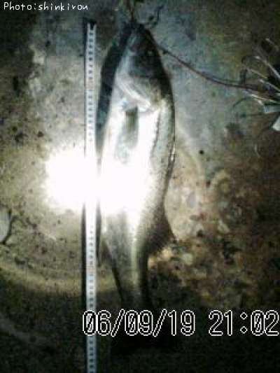 �����Х�