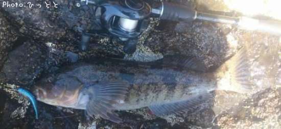 �����ʥ�