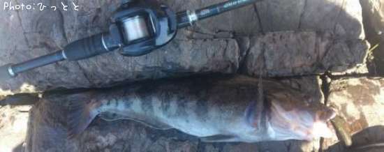 �����ʥ�