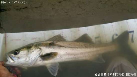 �����Х�