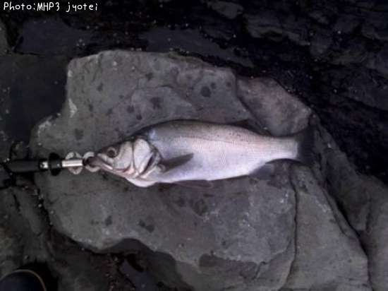 �ҥ饹����