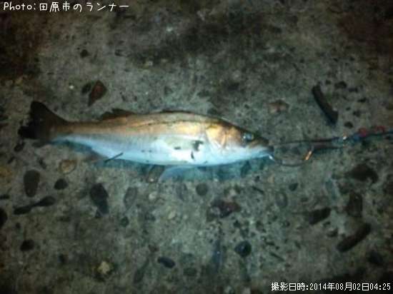 �����Х�