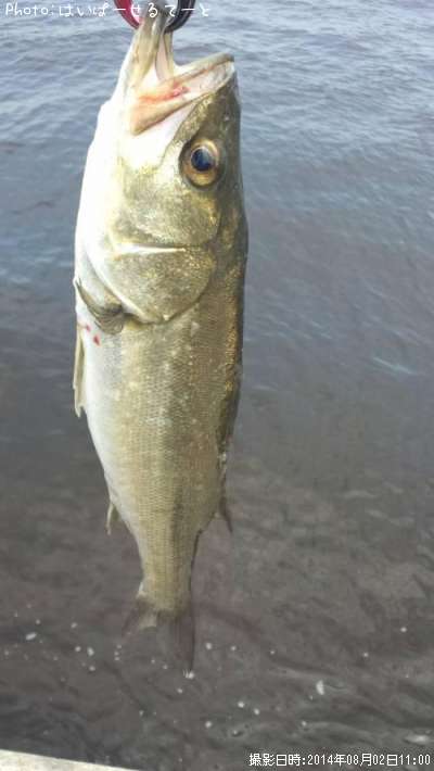 �����Х�