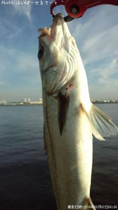 �����Х�