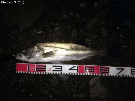 �����Х�