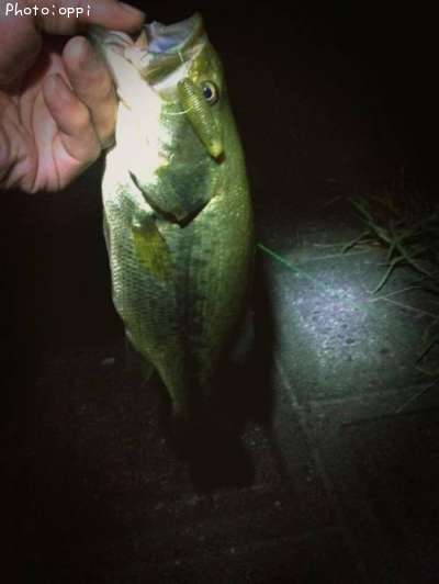 �֥�å��Х�