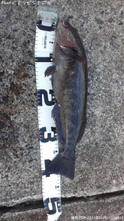 �����ʥ�