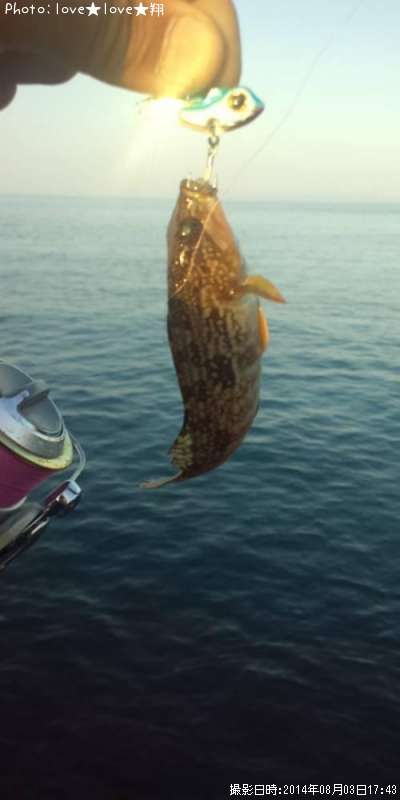 �����ʥ�