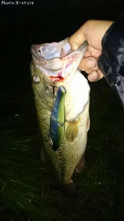 �֥�å��Х�