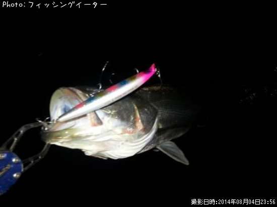 �����Х�