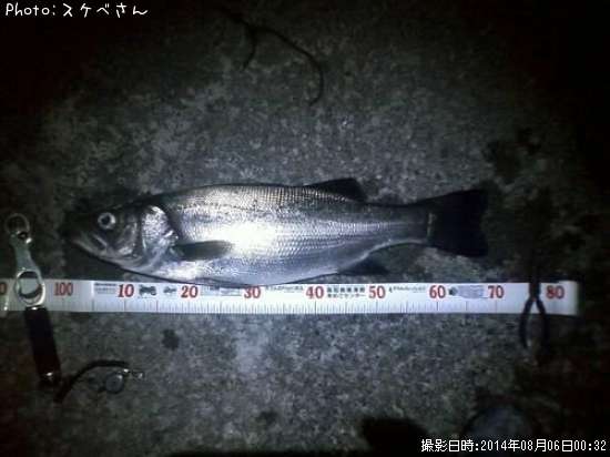 �ҥ饹����