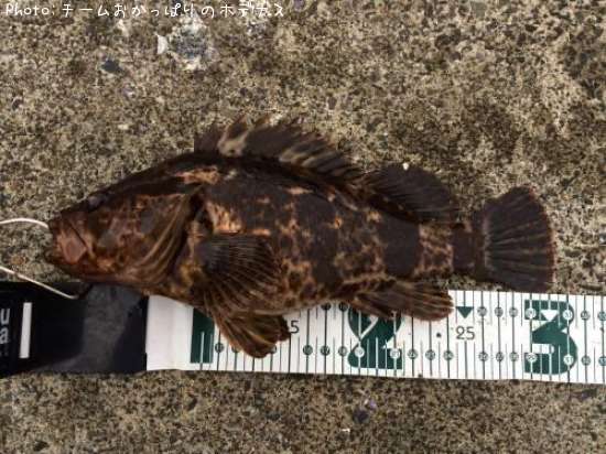 �����Υ���Х�