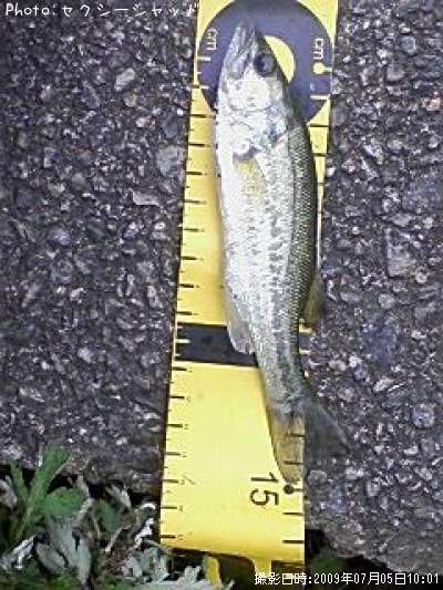 �֥�å��Х�