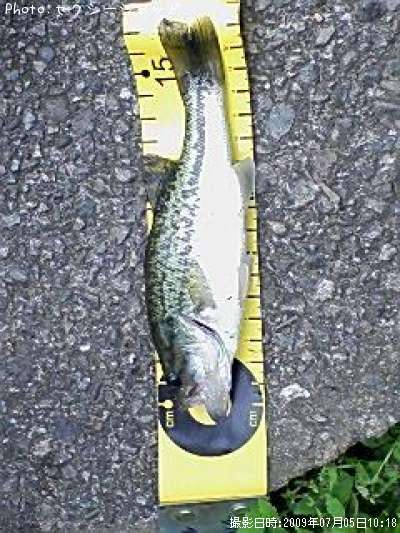 �֥�å��Х�