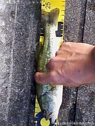 �֥�å��Х�