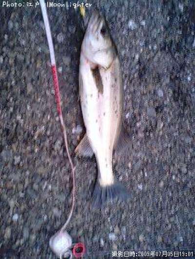 �����Х�