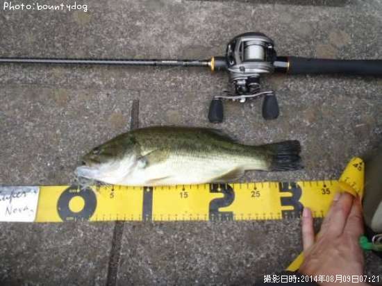 �֥�å��Х�