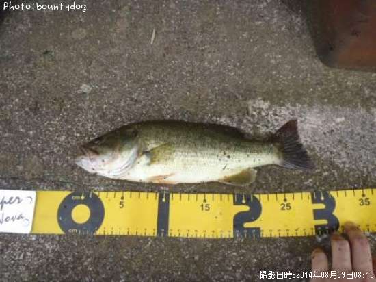 �֥�å��Х�