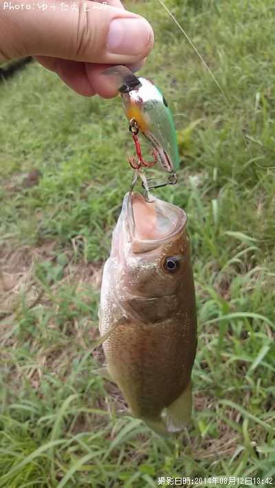 �֥�å��Х�