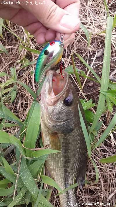 �֥�å��Х�