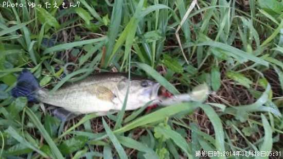 �֥�å��Х�