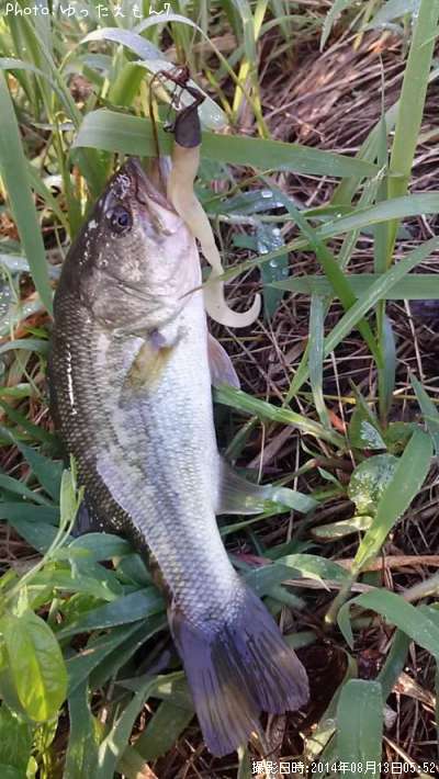 �֥�å��Х�