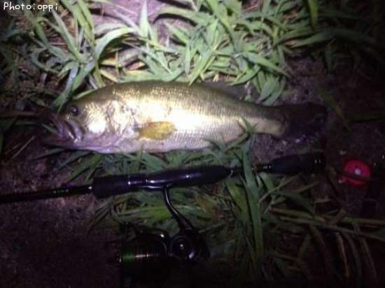 �֥�å��Х�