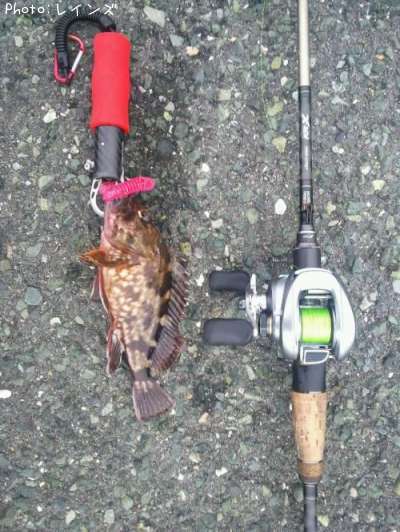 �������������Υ�