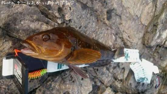 �����ʥ�