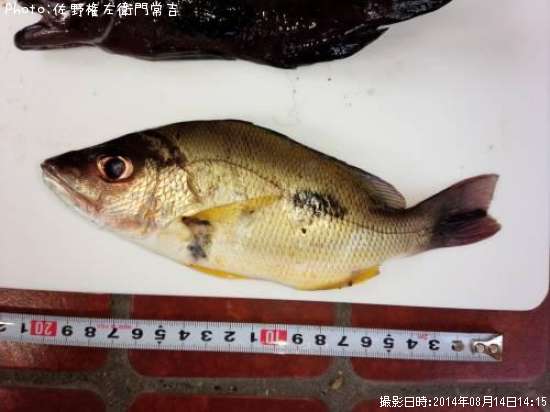 �����ۥ��ե�����