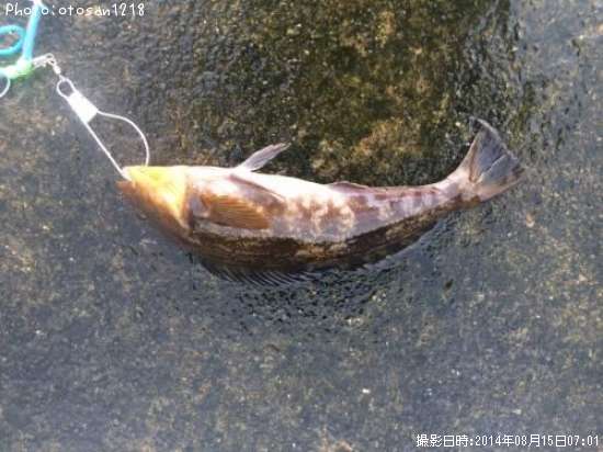 �����ʥ�