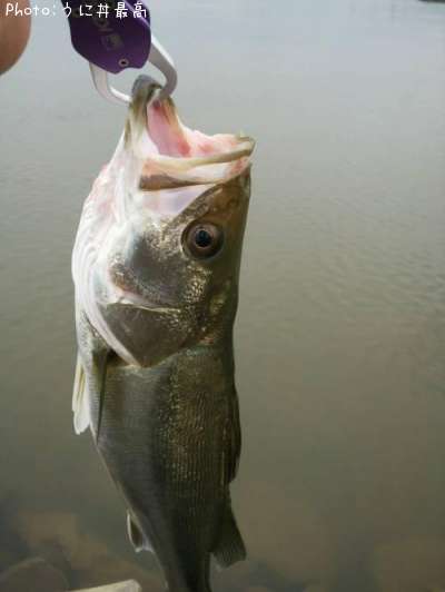 �����Х�