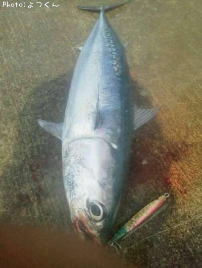 �ޥ륽����