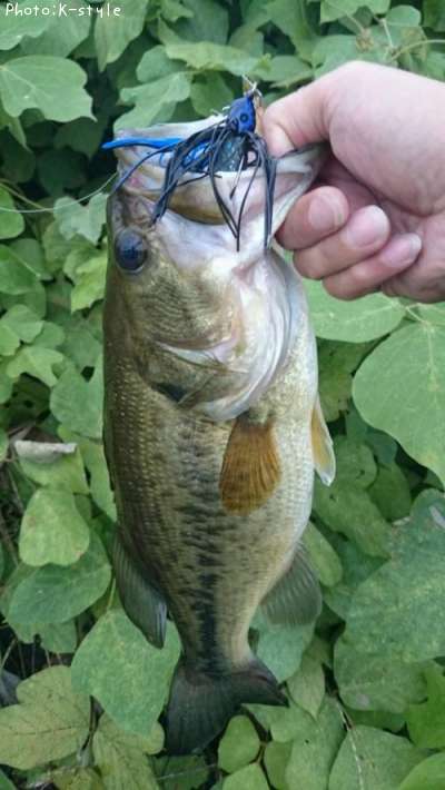 �֥�å��Х�