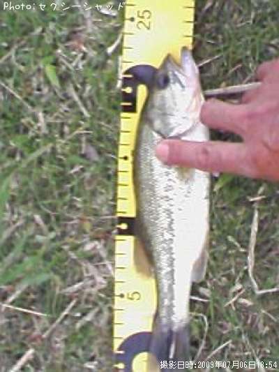 �֥�å��Х�