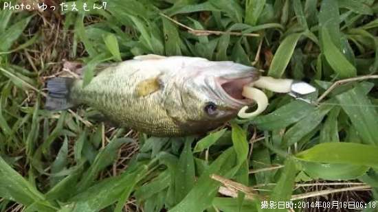 �֥�å��Х�