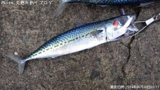 ���ޥ���