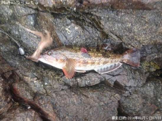 �����ʥ�