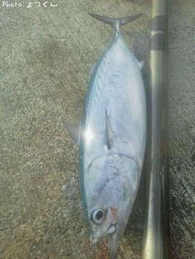 �ҥ饽����