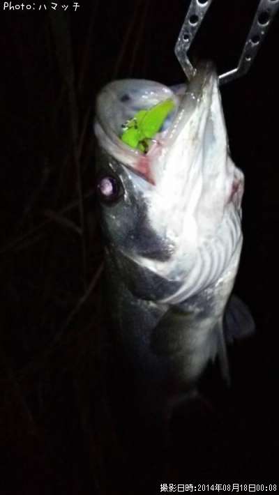 �����Х�