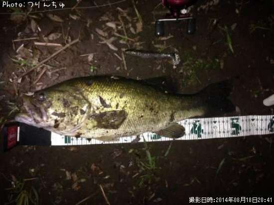 �֥�å��Х�